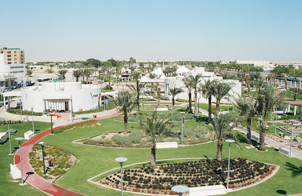 RAS LAFAN RLCI — image 7