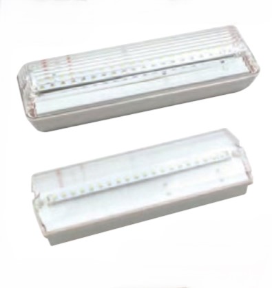 Addressable Emergency Lights