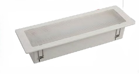 Bulkhead Emergency Light